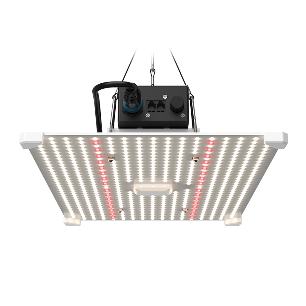 LUMII BLACK BLADE 200W LED