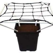 Matrix scrog net