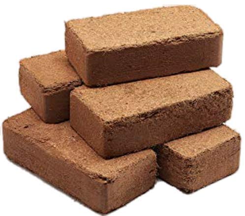 Coco Bricks