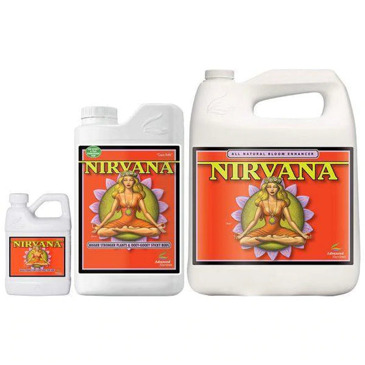 Nirvana