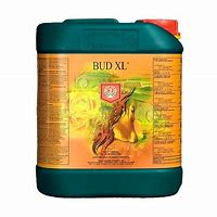 Bud XL