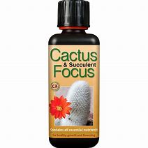 Cactus & Succulent Focus