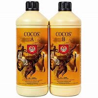 Coco A & B