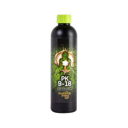 Buddhas Tree - PK 9-18