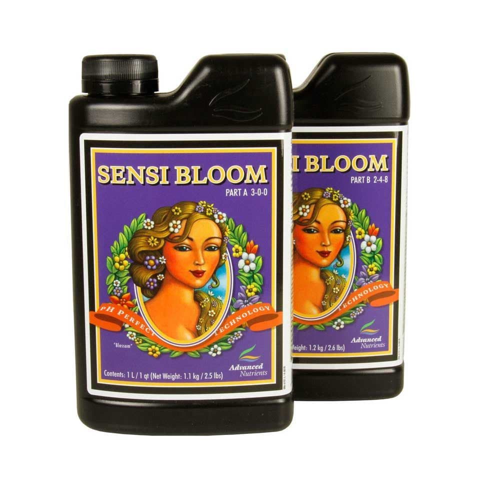 Sensi Bloom A&B