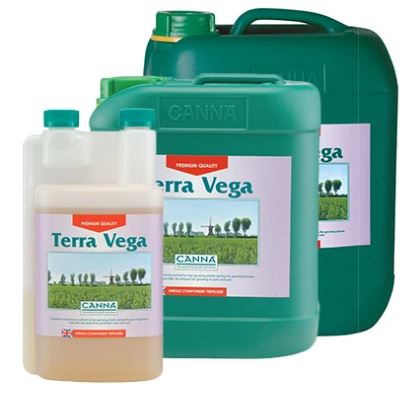 CANNA TERRA VEGA