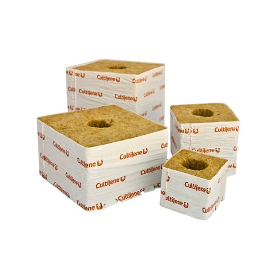 Rockwool Cubes x8