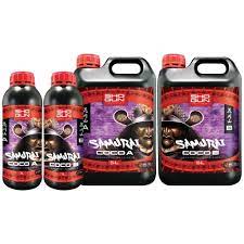 SHOGUN Samurai Coco A&B