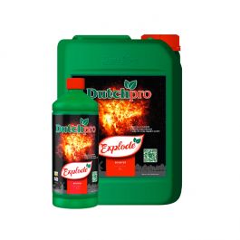 Dutch Pro Explode