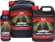 SHOGUN Samurai Terra Grow