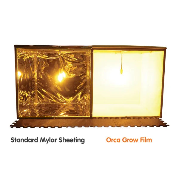 Orca Grow Film