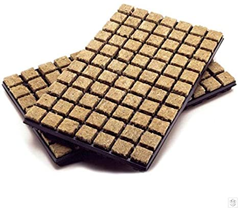 Grodan Rockwool Rooting Plugs – HIGHSTREETHYDRO