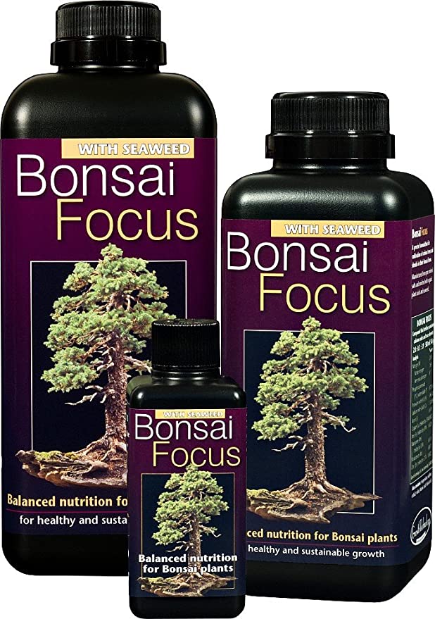 Bonsai focus