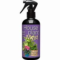 Houseplant myst