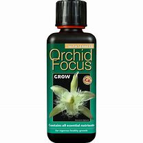Orchid focus grow