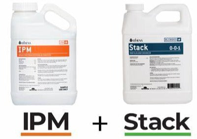 Athena Stack and IPM Kits