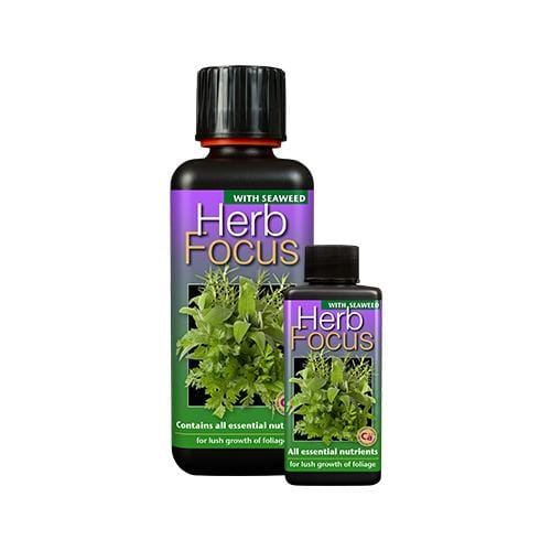 Herb focus